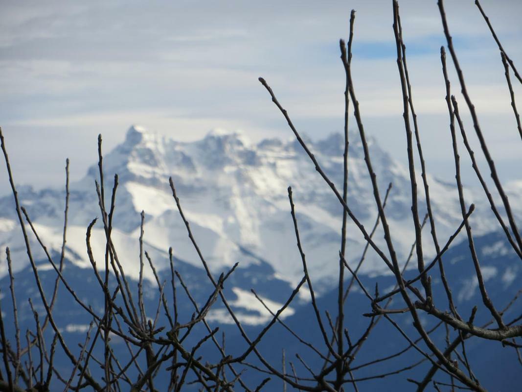 Maison Familiale A Montreux Avec Vue Sur Le Lac Villa Luaran gambar