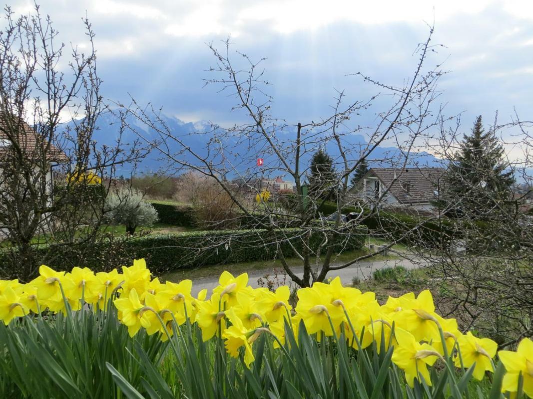 Maison Familiale A Montreux Avec Vue Sur Le Lac Villa Luaran gambar