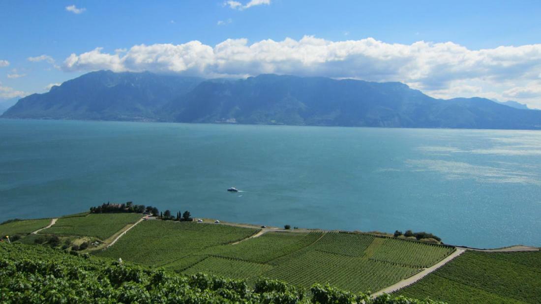 Maison Familiale A Montreux Avec Vue Sur Le Lac Villa Luaran gambar