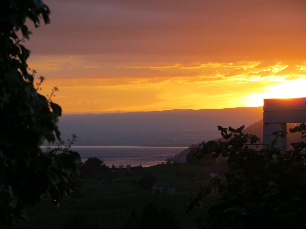 Maison Familiale A Montreux Avec Vue Sur Le Lac Villa Luaran gambar